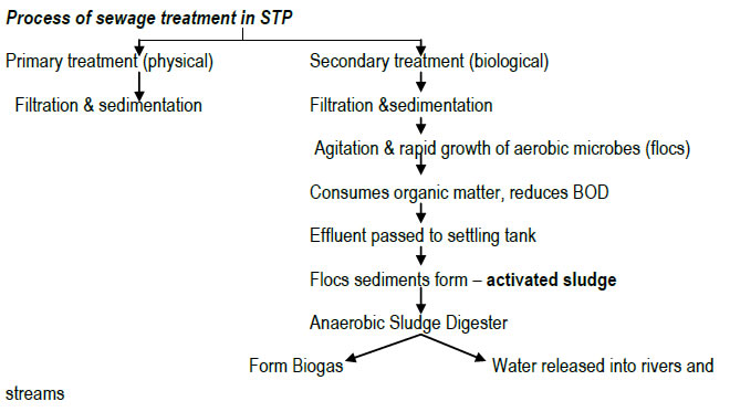 Process of sewage treatment in STP